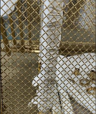 Καλή τιμή Χονδρική πώληση 201/316 Ατσάλι αντιγραφή Χαλκό βουρτσισμένη πλάκα ξενοδοχείο Σκάλα / φούστα υλικό 48 ώρες παράδοση σε απευθείας σύνδεση